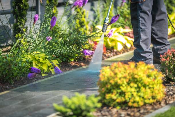 Best Boat and Dock Cleaning  in Lmer Heights, PA